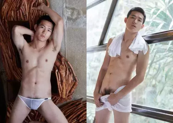 Brothers Vol.5 - HoN
