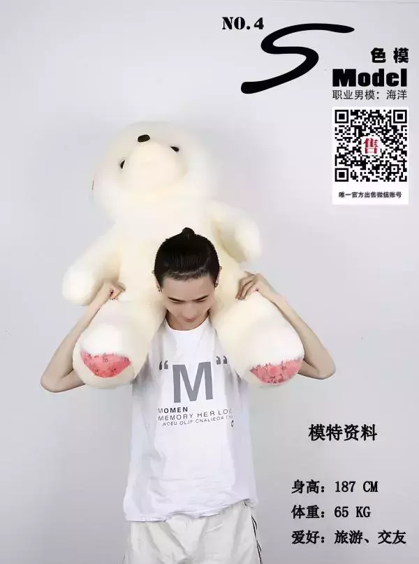 S Model No.04