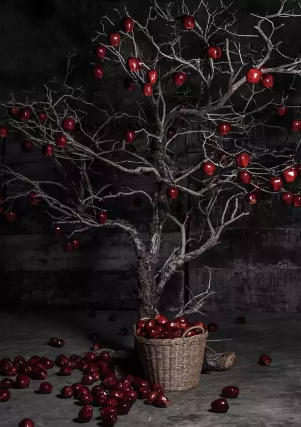 XPERIMENT 16 | The Apple Picker