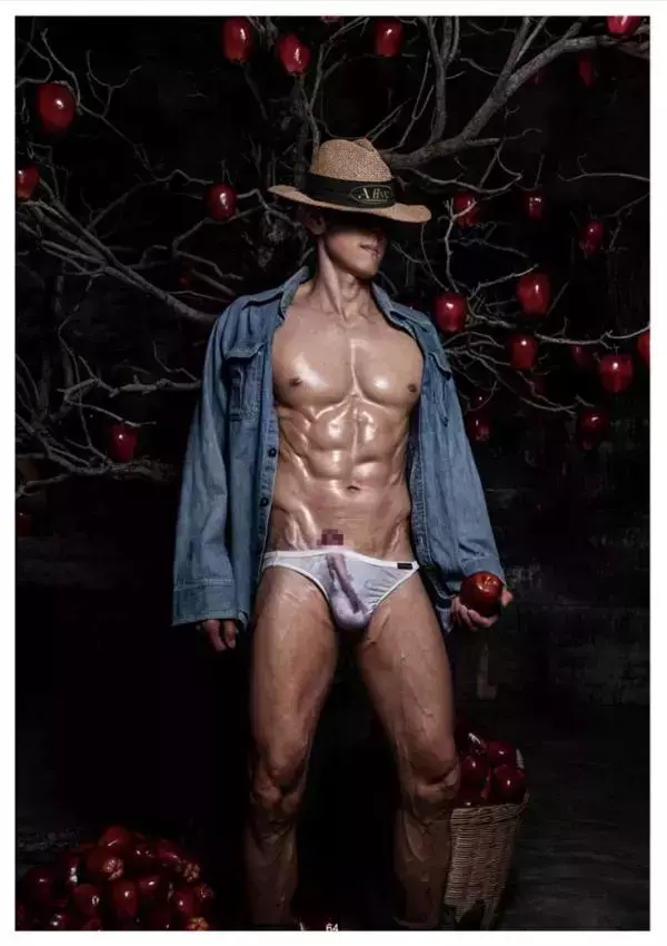 XPERIMENT 16 | The Apple Picker