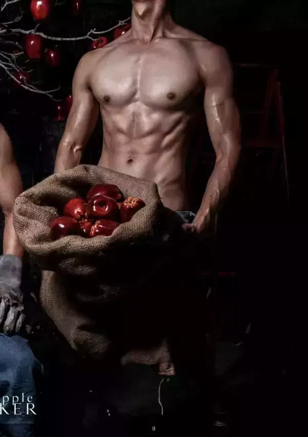 XPERIMENT 16 | The Apple Picker