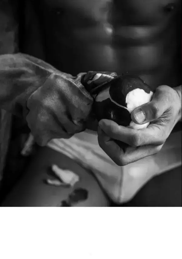 XPERIMENT 16 | The Apple Picker