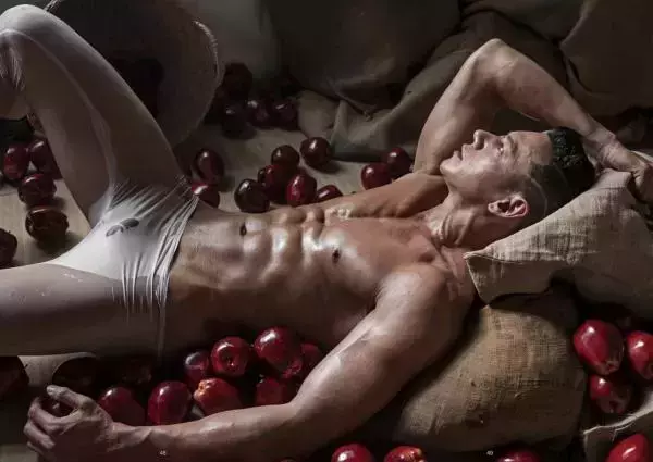 XPERIMENT 16 | The Apple Picker