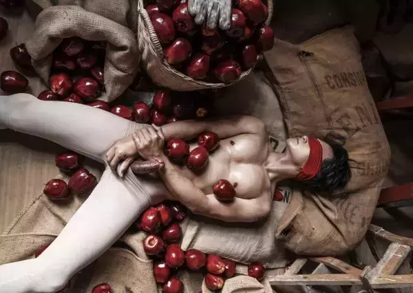 XPERIMENT 16 | The Apple Picker