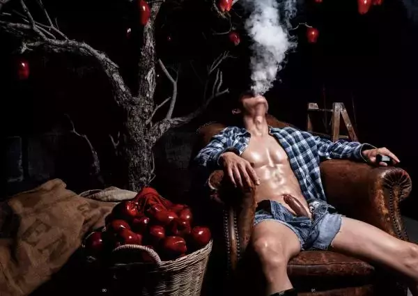 XPERIMENT 16 | The Apple Picker