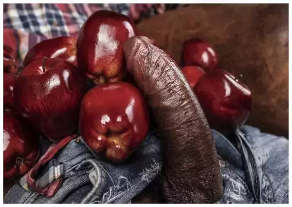 XPERIMENT 16 | The Apple Picker