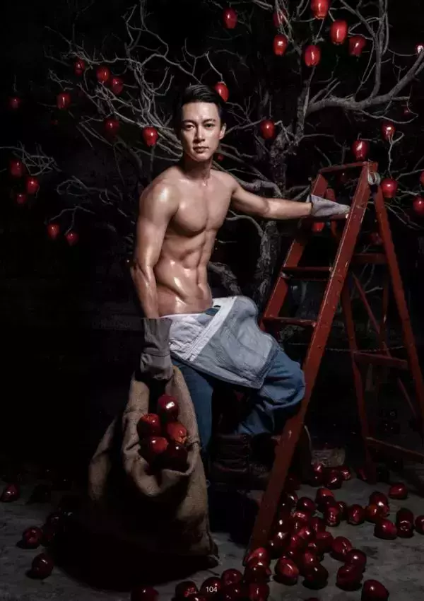 XPERIMENT 16 | The Apple Picker