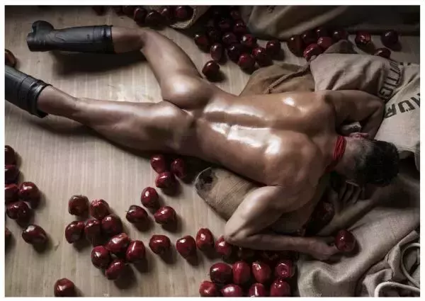 XPERIMENT 16 | The Apple Picker