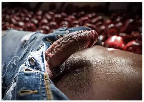 XPERIMENT 16 | The Apple Picker