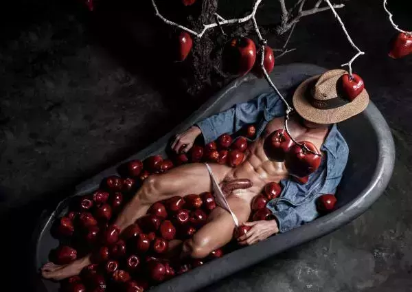 XPERIMENT 16 | The Apple Picker