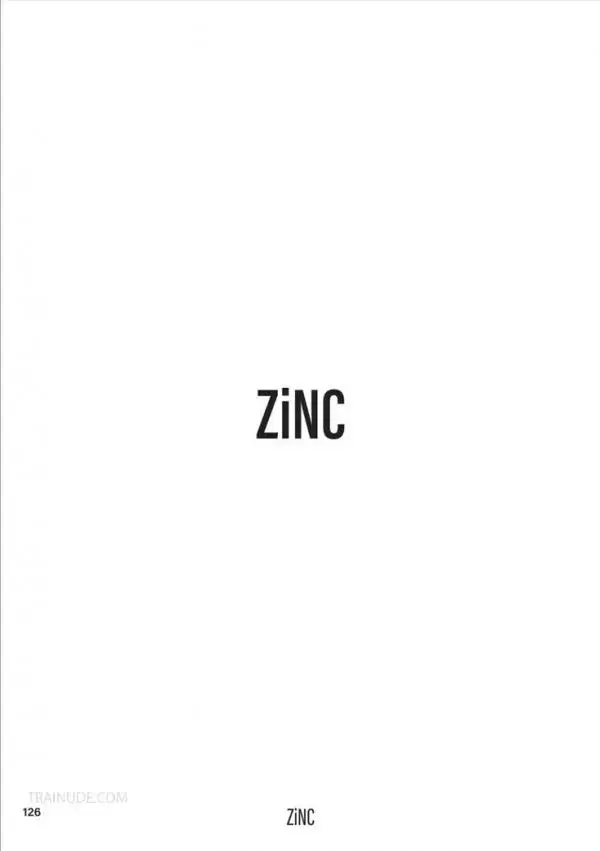 ZiNC 01 | The Intern [ Ebook+Video ]